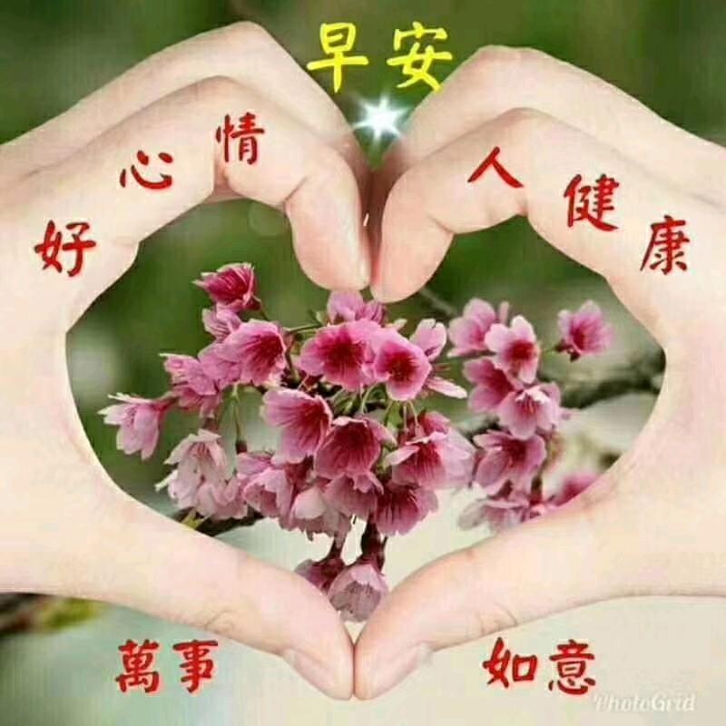 莺歌燕舞~