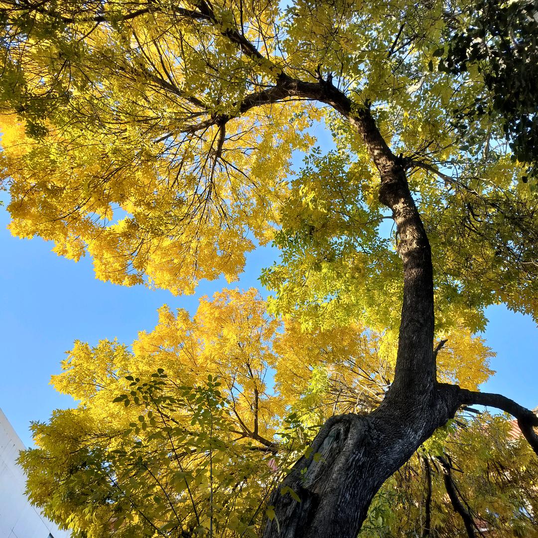 《匆匆拾秒》--小美好