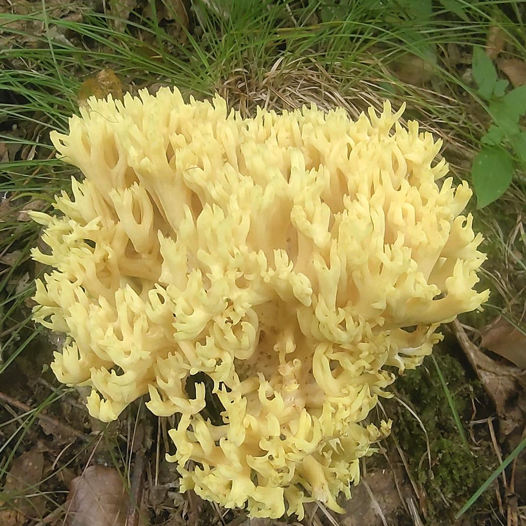 无侮人生_179301664