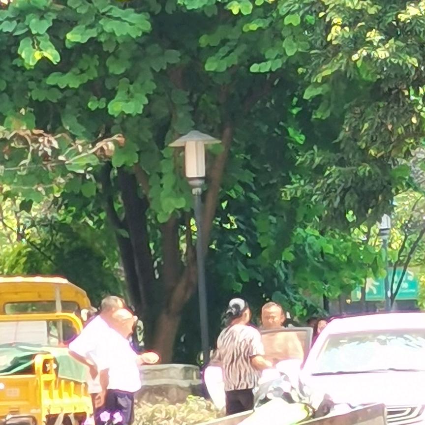 自由人