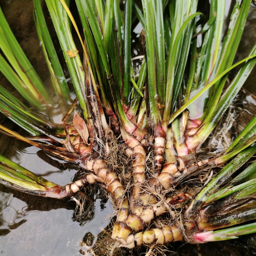 天黑路滑(小心骨折。