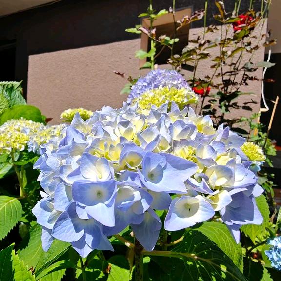 大漫之家东钱湖营业厅