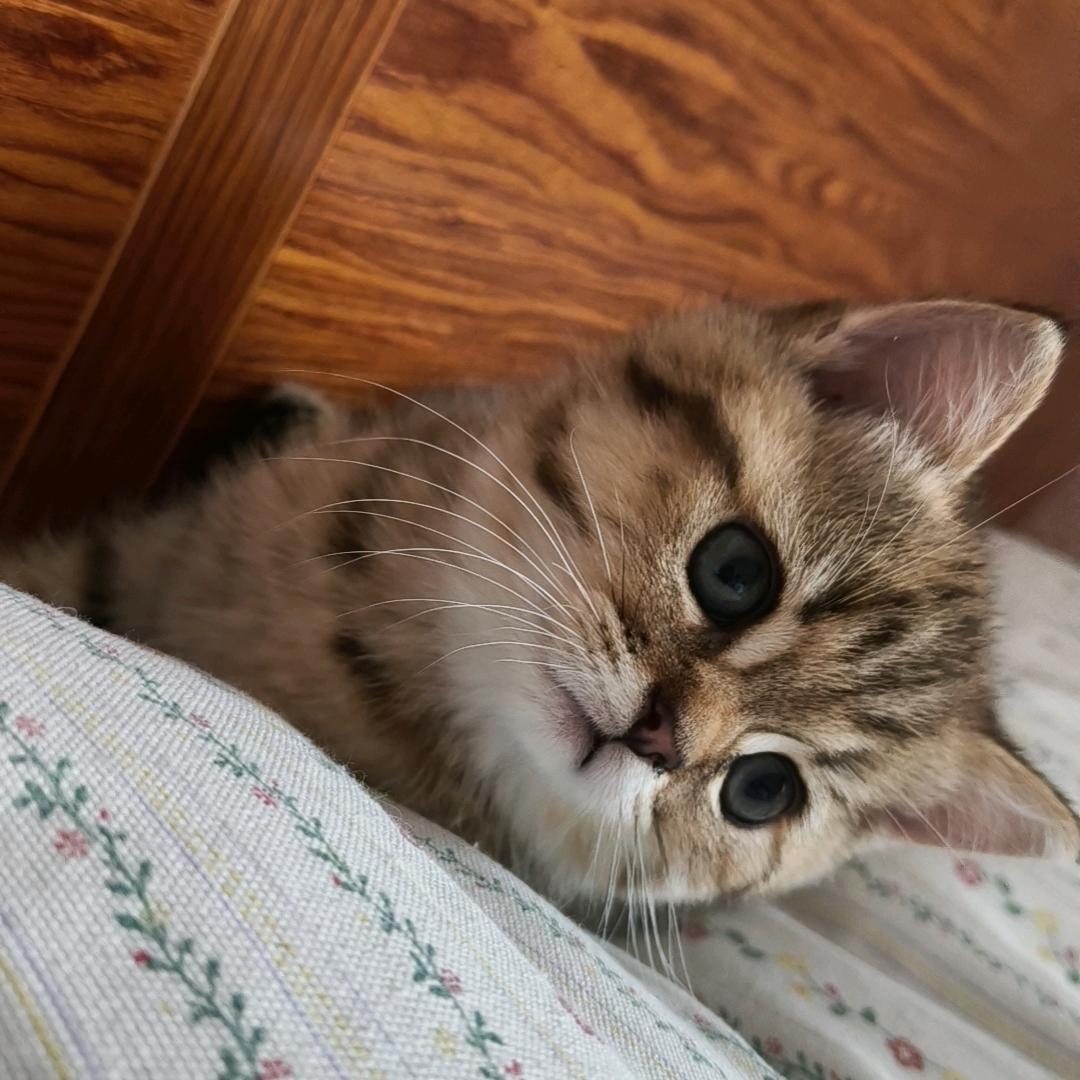 微笑背后的悲伤