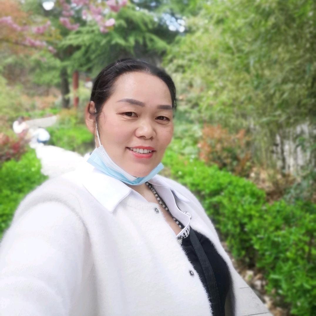 窈跳淑女