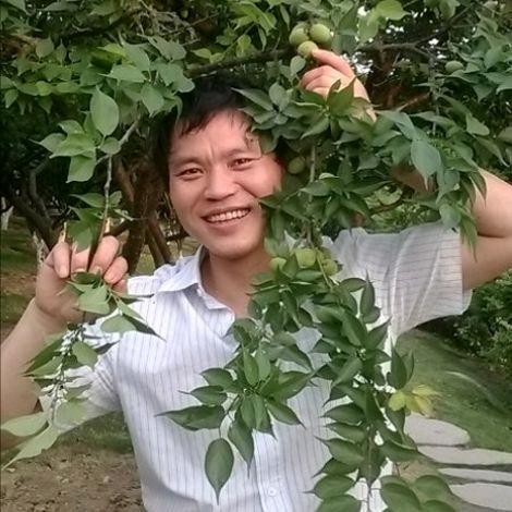 火烧连城