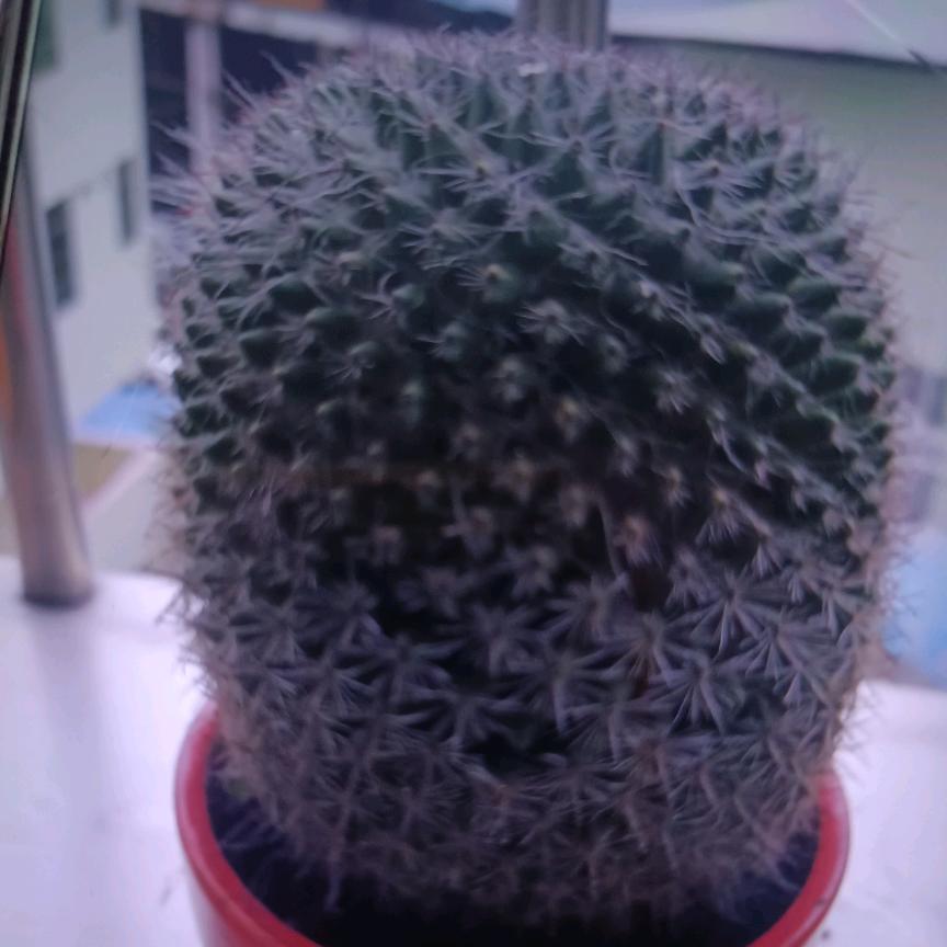 身体健康就是福+开心