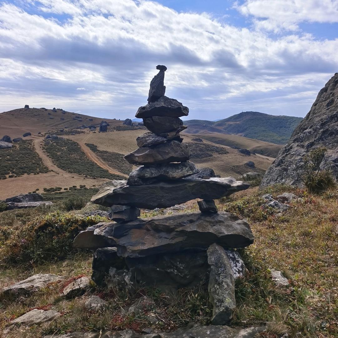 风吹日晒自由自在