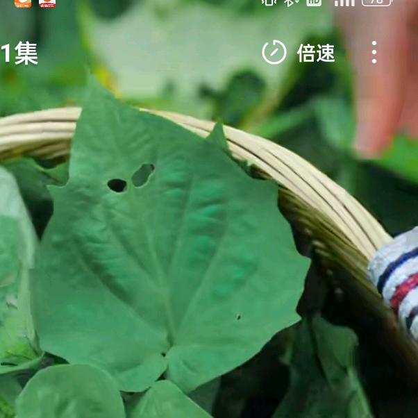 丽