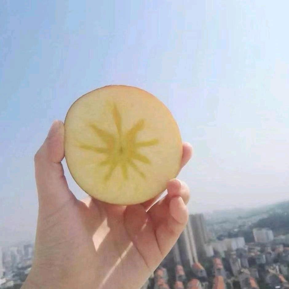 长沙市雨花区湘识缘商贸行