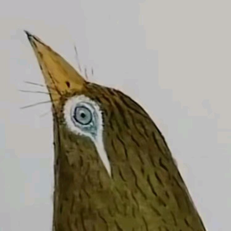 山梨鹏