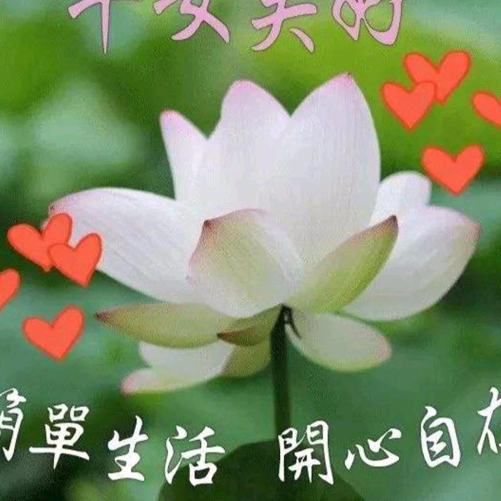 祥❤英ng14