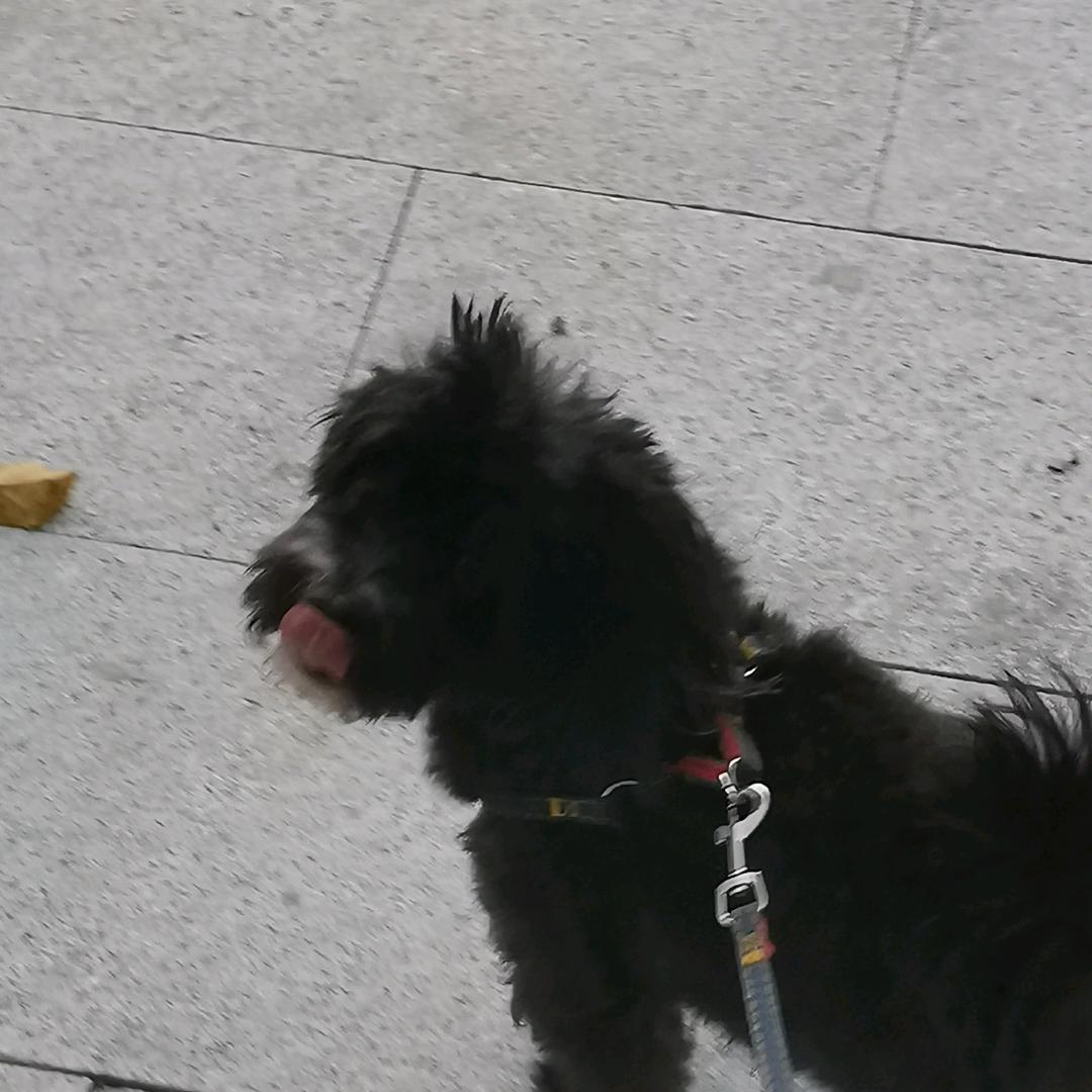 我会化作风雨陪伴你