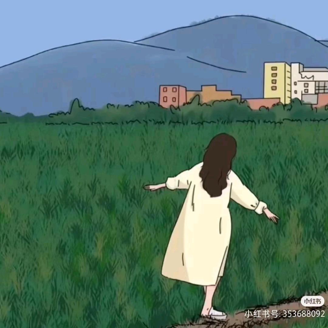 一切随心