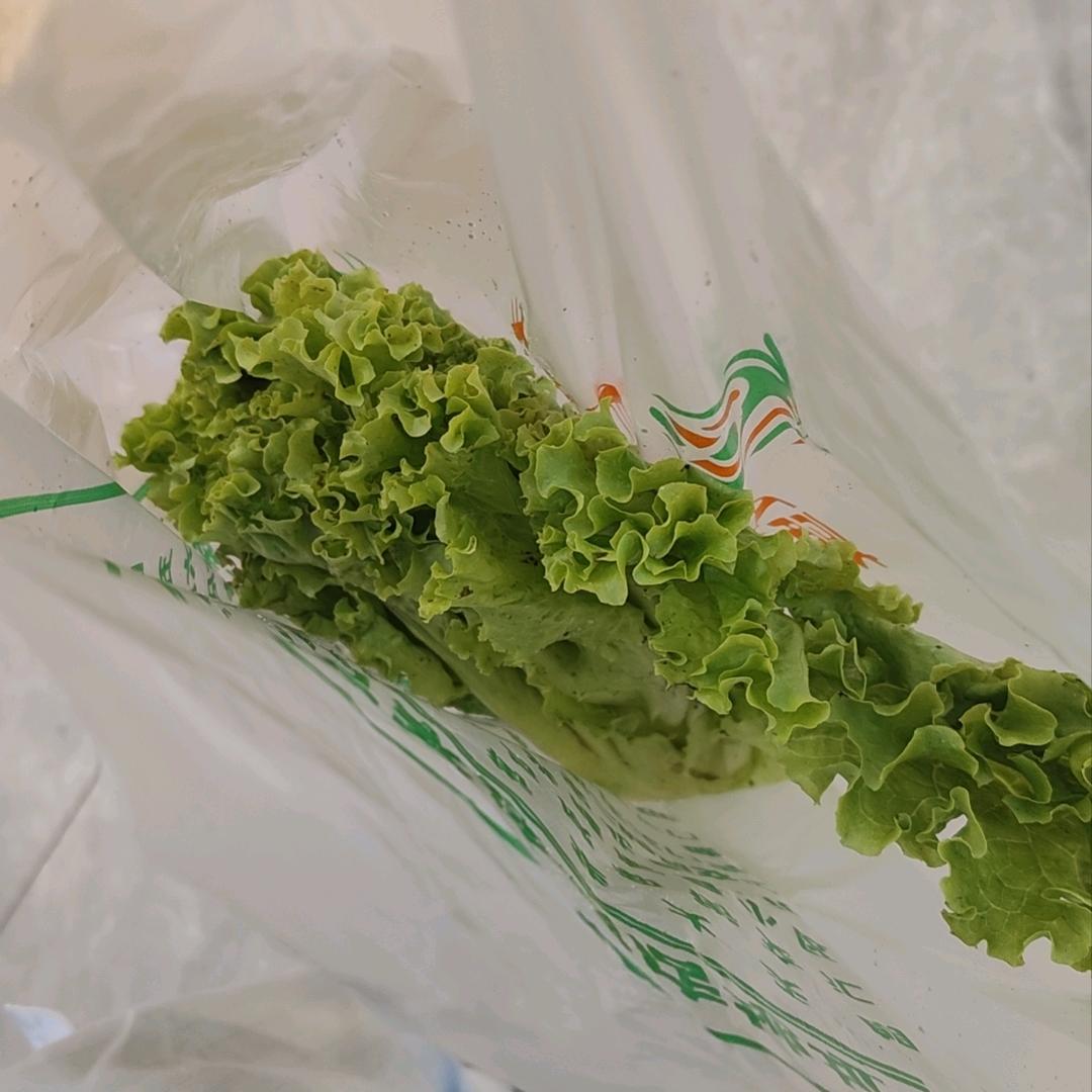 小伊同学