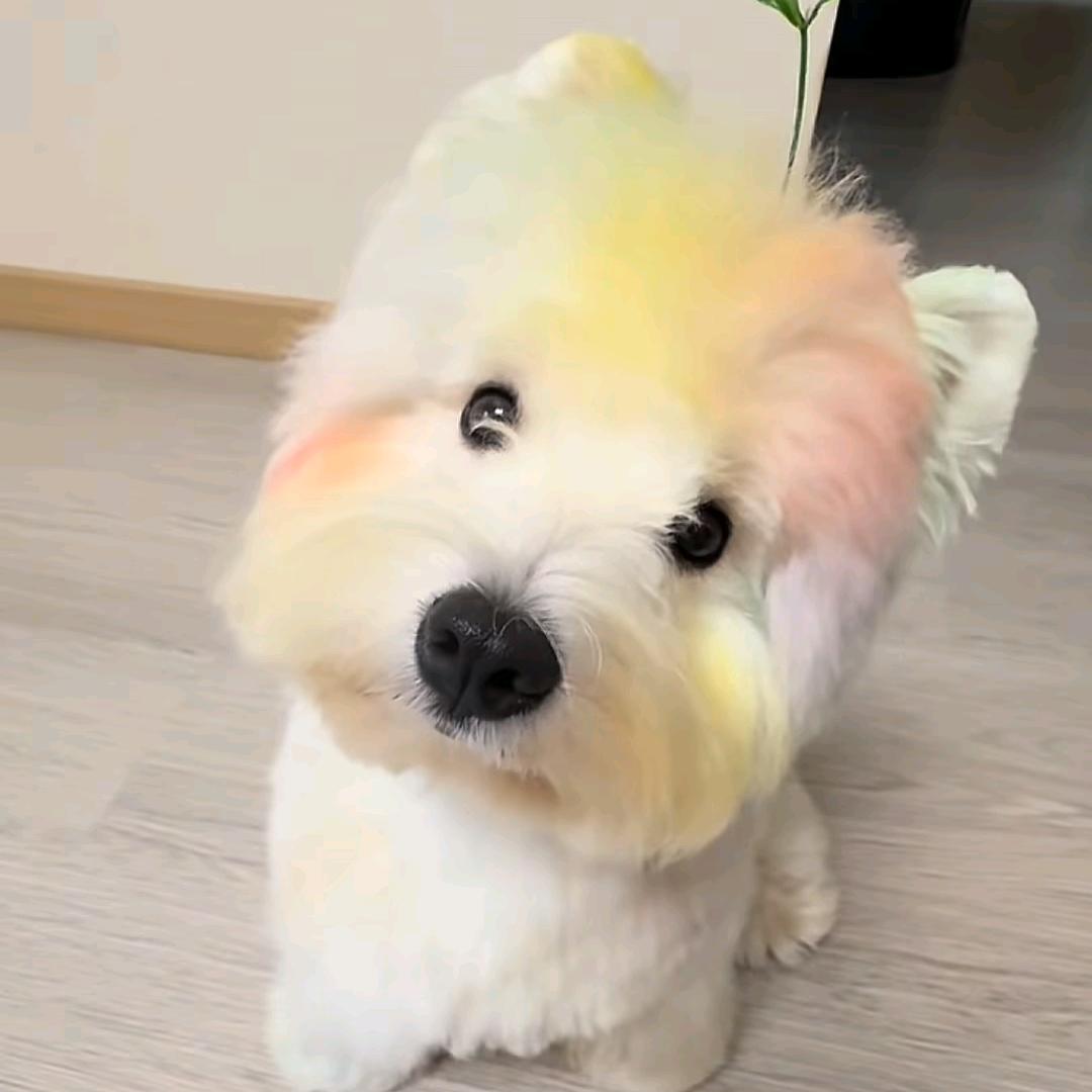 喝水不要钱