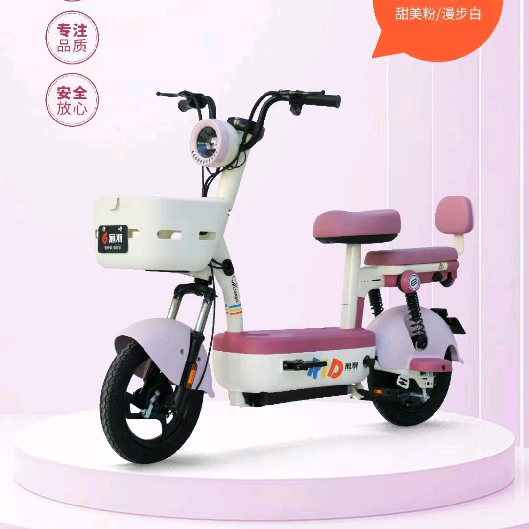 恙氦电动车批发