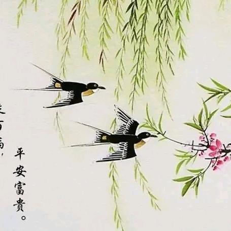 用户，自由兵5368248548198