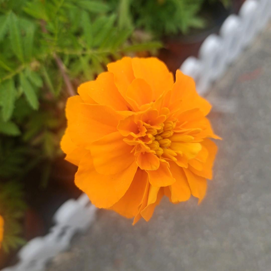 🍒小酒窝姐🍒144364613