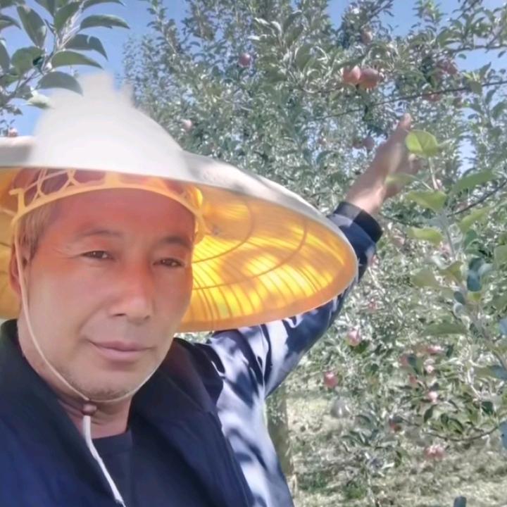 汪斌七零五月二十八狗狗