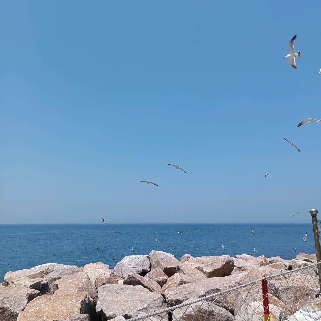 @我们一起记录生活