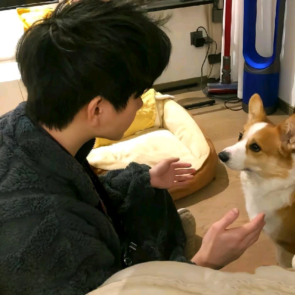 不太爱说出口