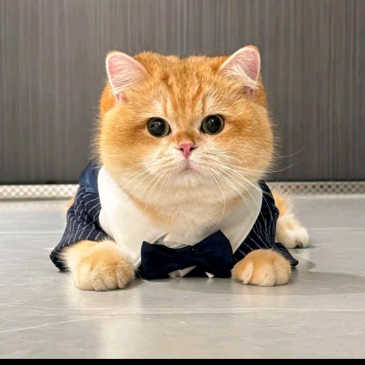 傻子