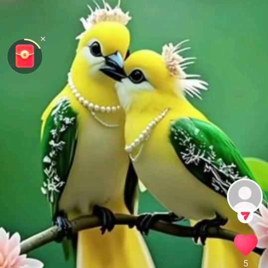 老太婆