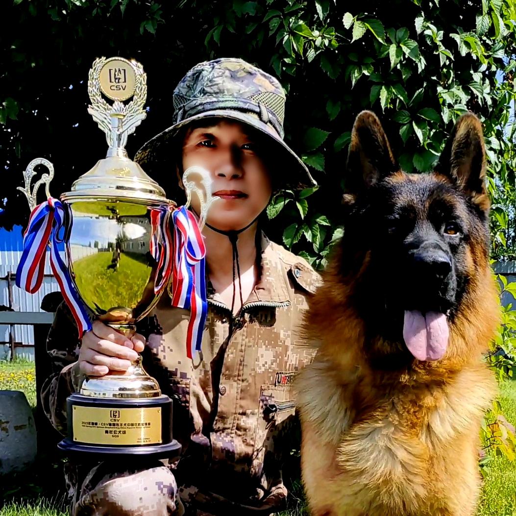 许老大(鸿大犬舍)