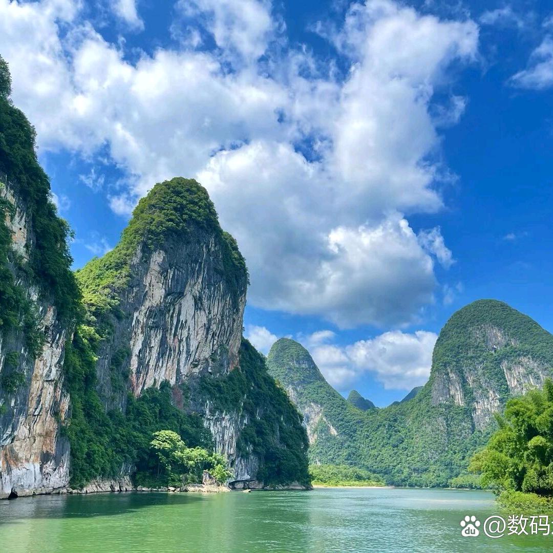 绝绝子