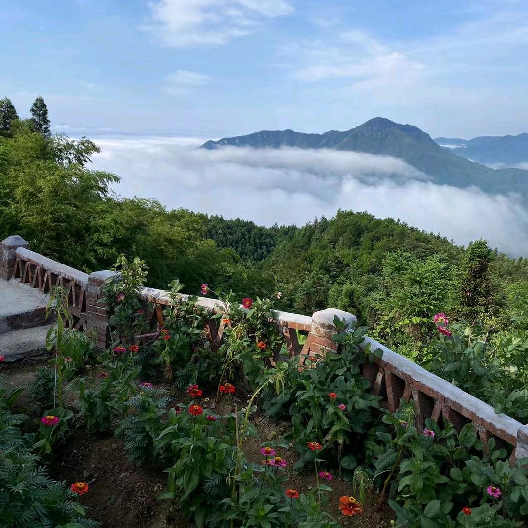 常有帶你去旅行
