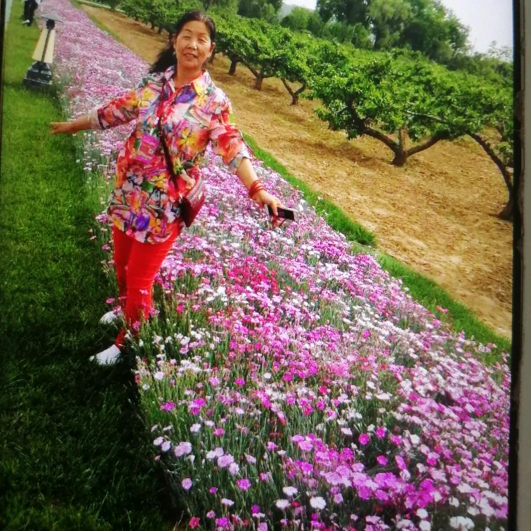 阳光夏天