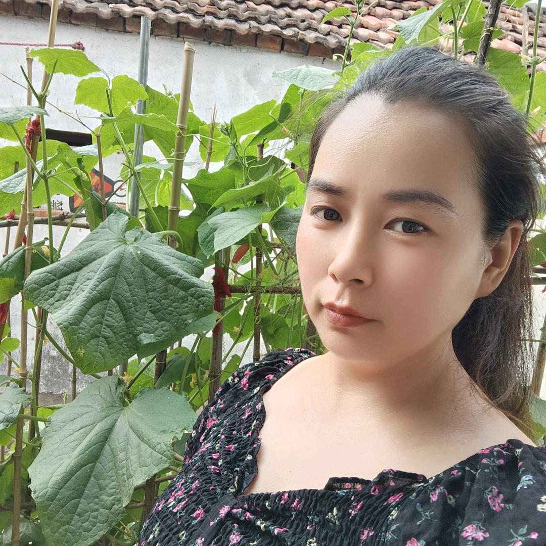 福宝《首播》下午5:30
