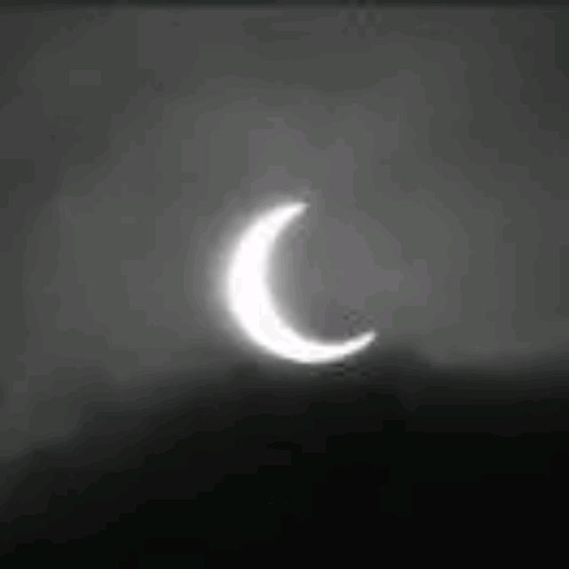 Zzr