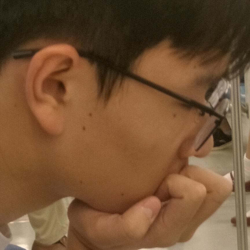 理想主义者.