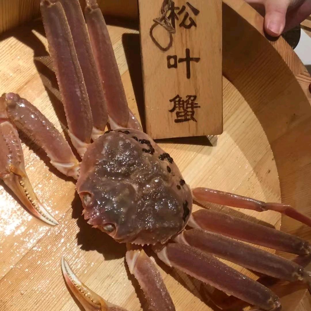珲春市海逸水产品批发店