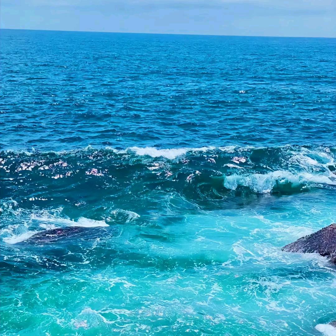 永不消逝的电波