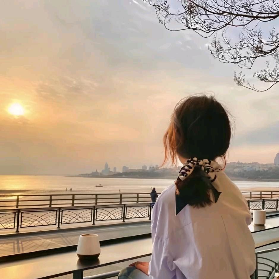 晓书书。