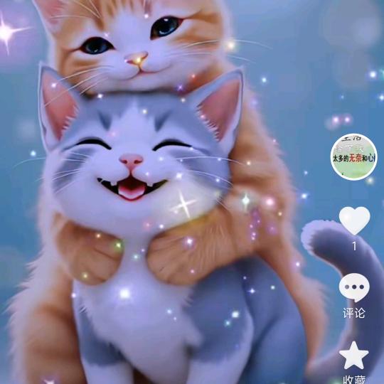 秋天的落叶🍂🍂🍂🍂