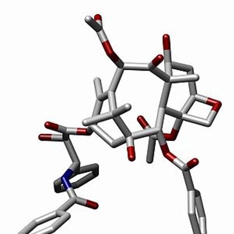 taxol