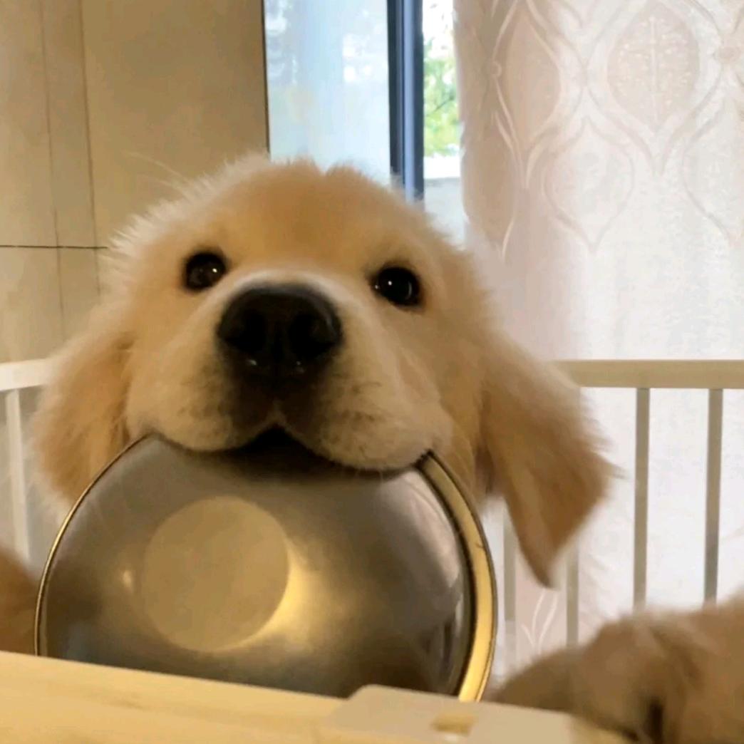酱酱酱酱