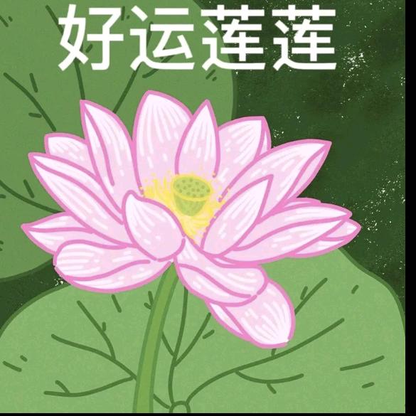 好运连连-.
