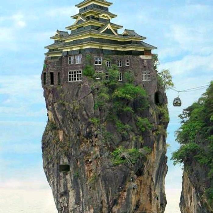 天生我才:)
