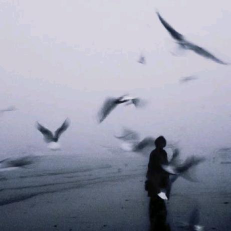 爱生活的小胖子