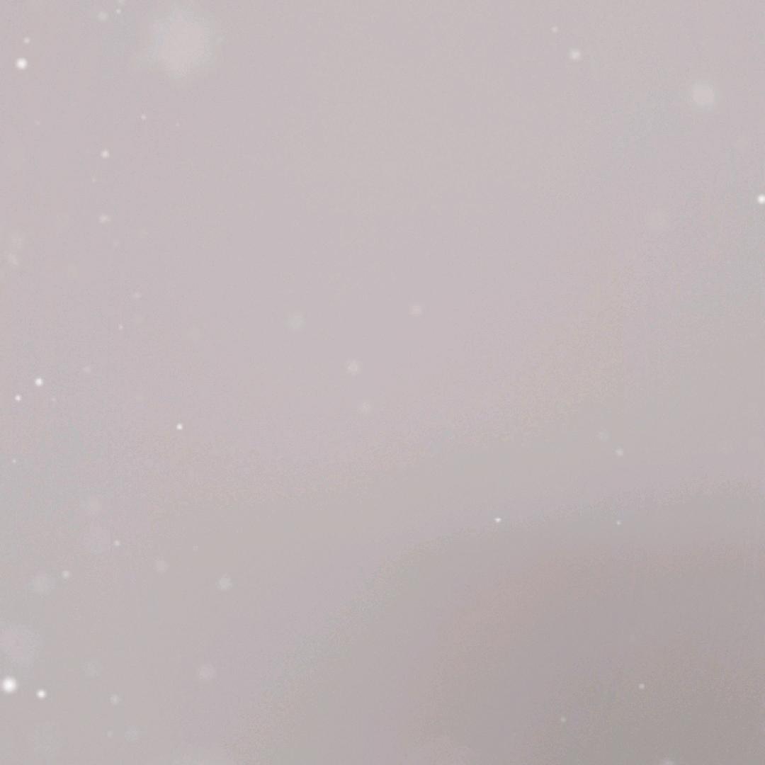 小夏🇨🇳