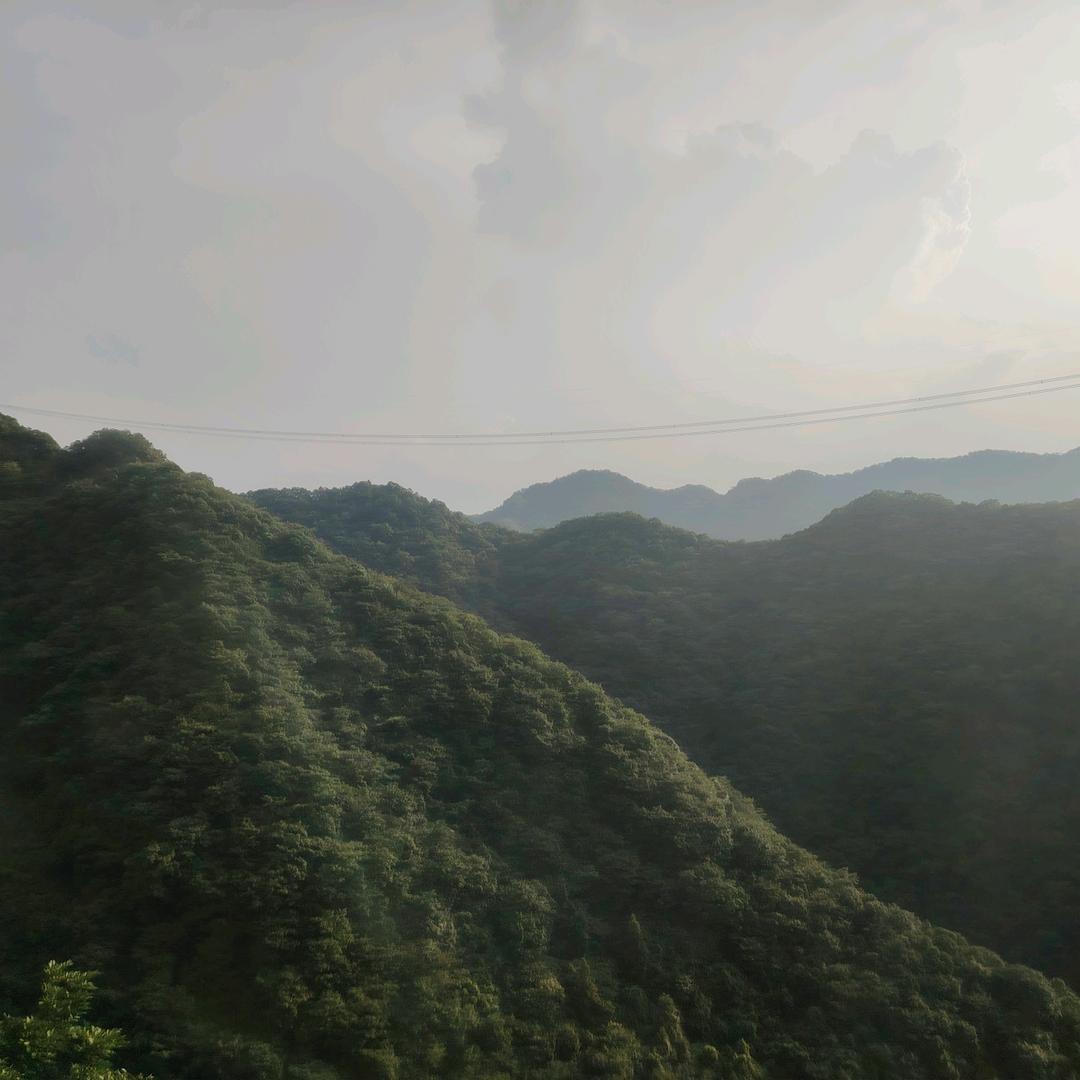 萌萌