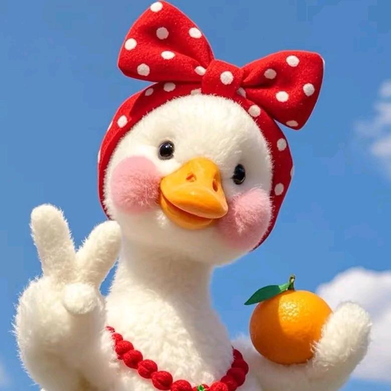 戴鸾萱的日记（辽宁升学规划）