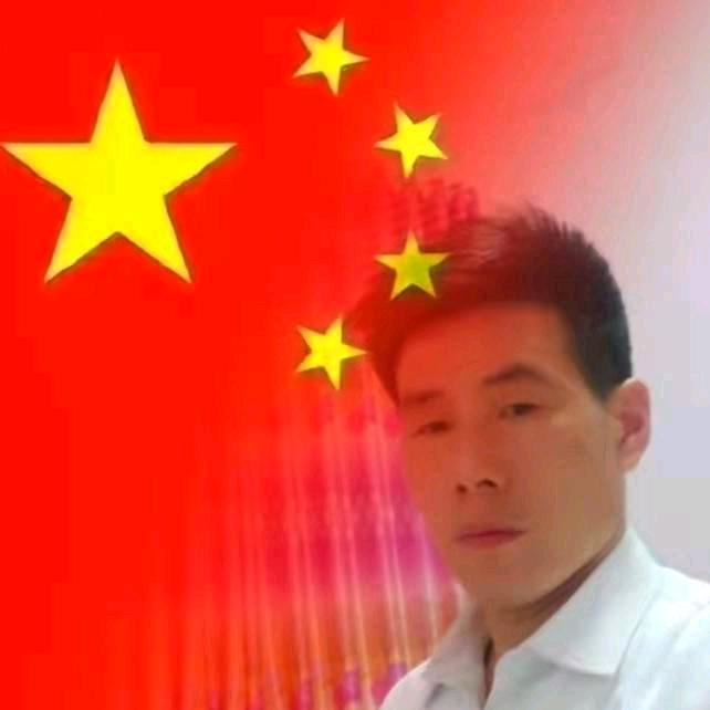 逆光飞翔