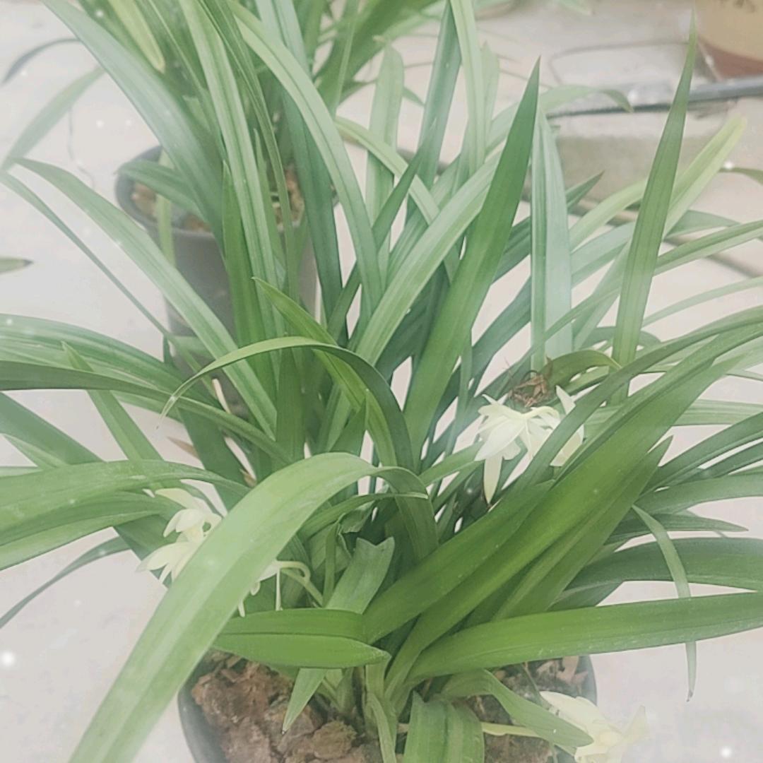 一生平安