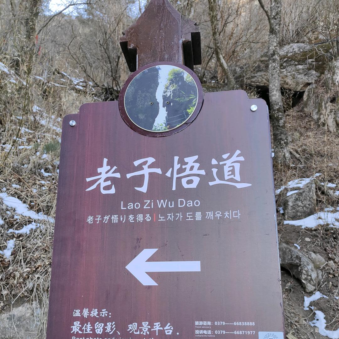 龙空龙选手