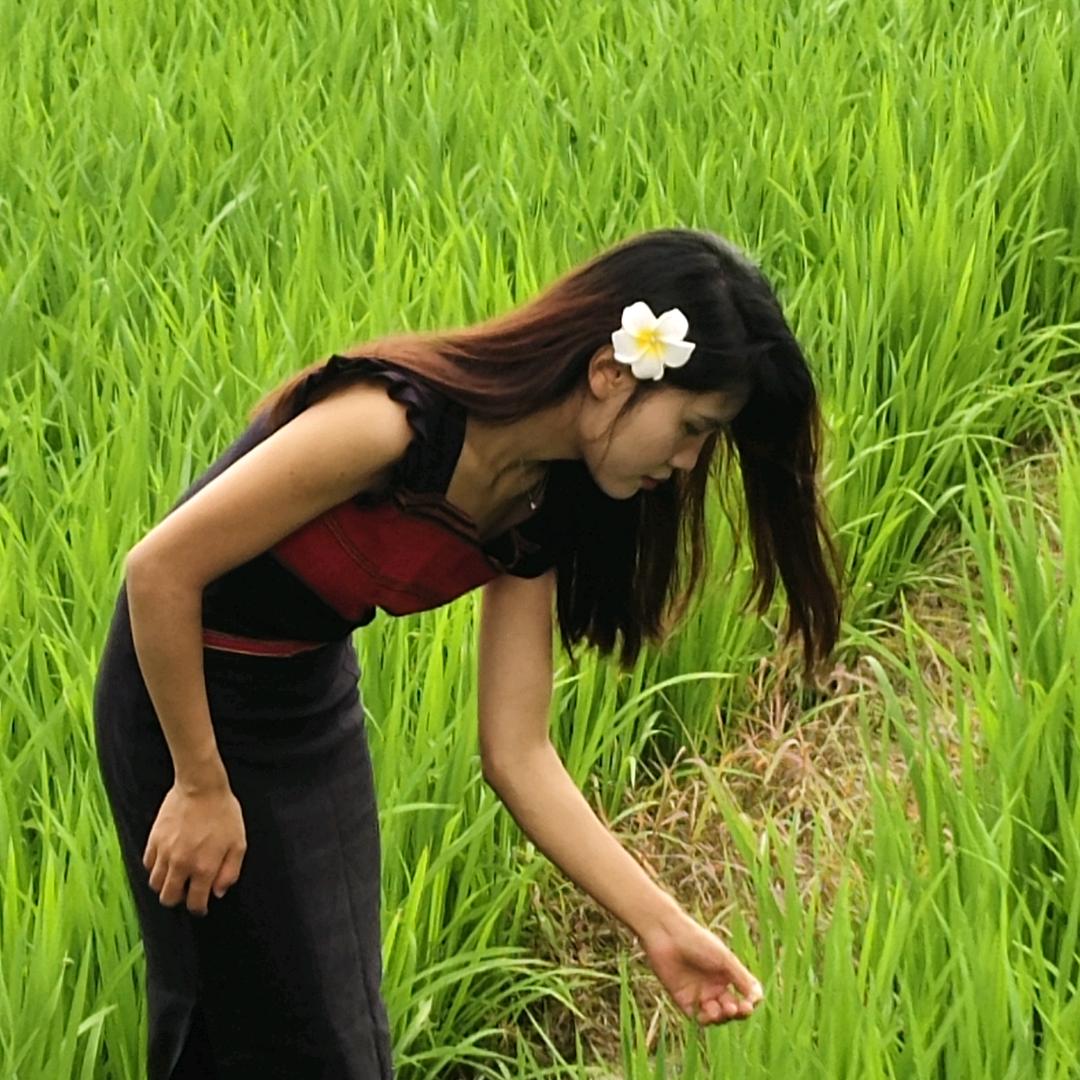 德宏小包